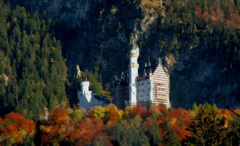 Autumn trees around Neuschwanstein Castle 