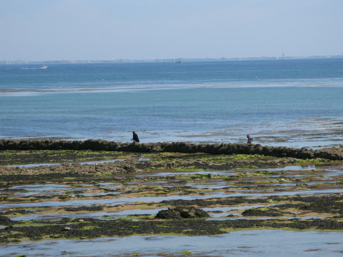 Île d’Oléron St. Denis écluse at low tide